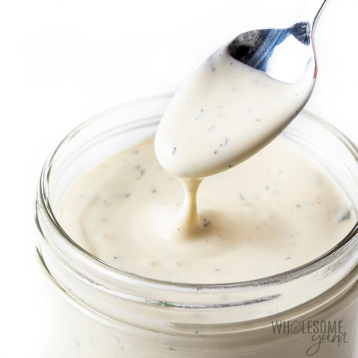 Spicy garlic dip