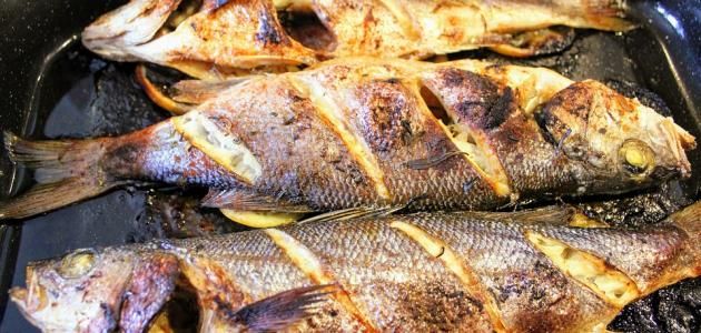 Mullet Fish Meal