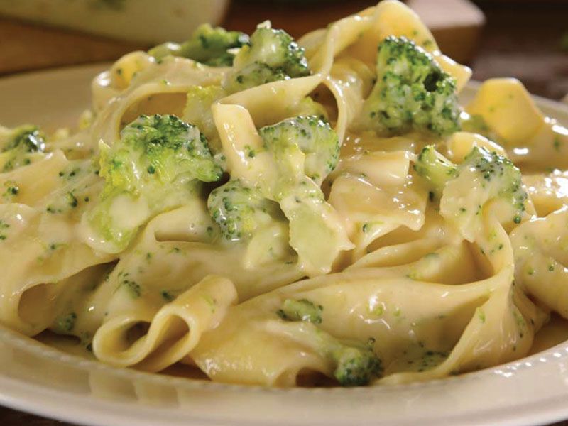 Quattro Alfredo Pasta