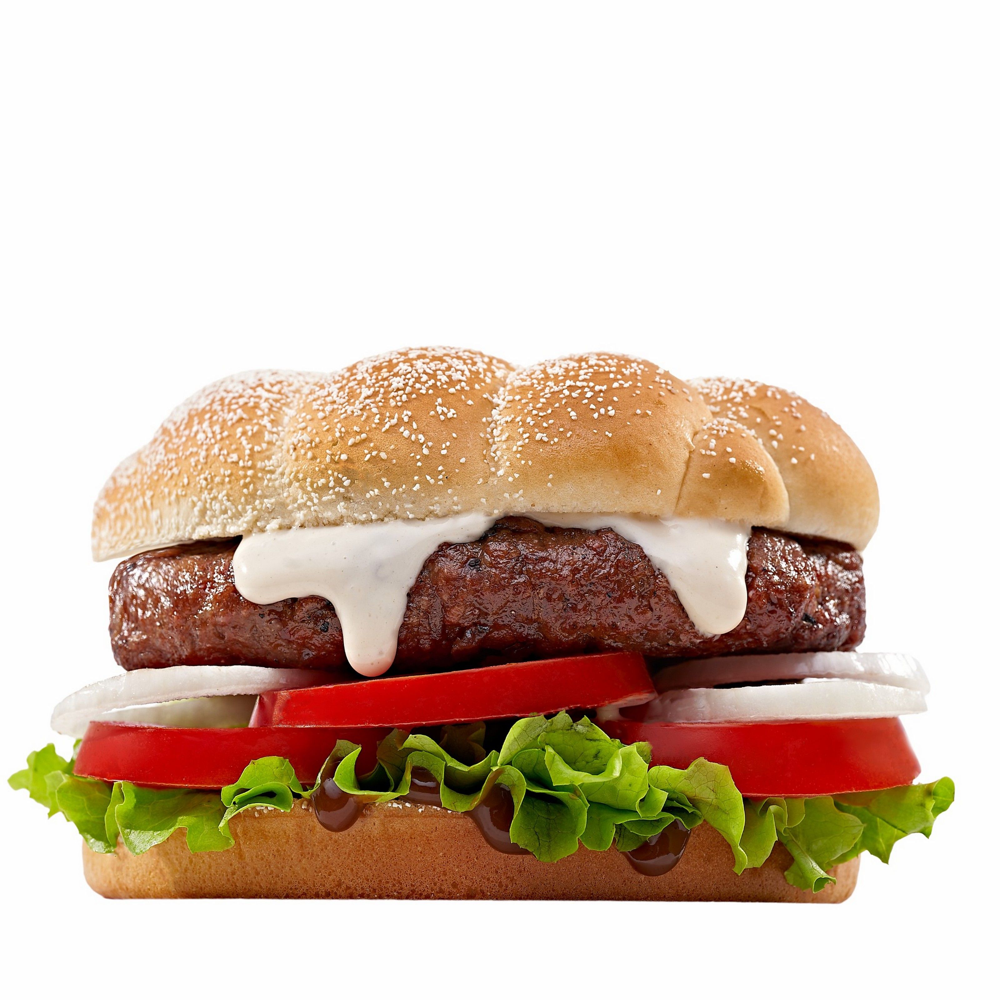 Plain Burger Sandwich