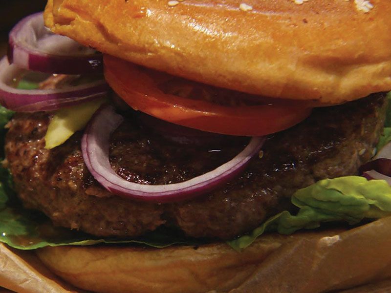 Madness Burger