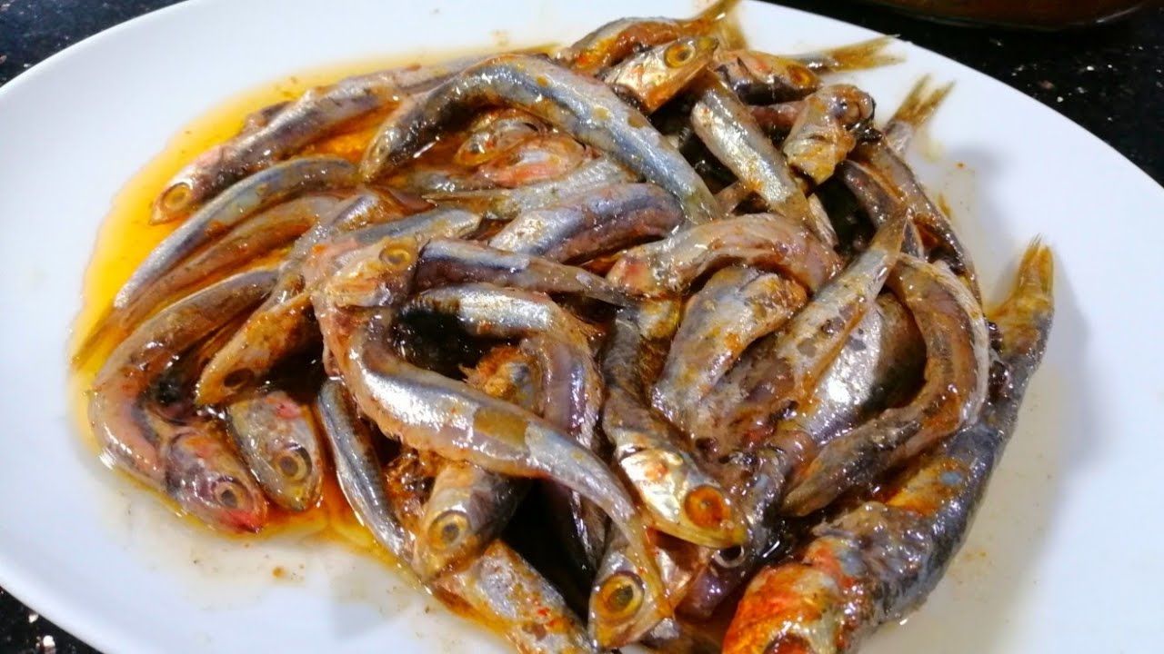 Basarya Kilo