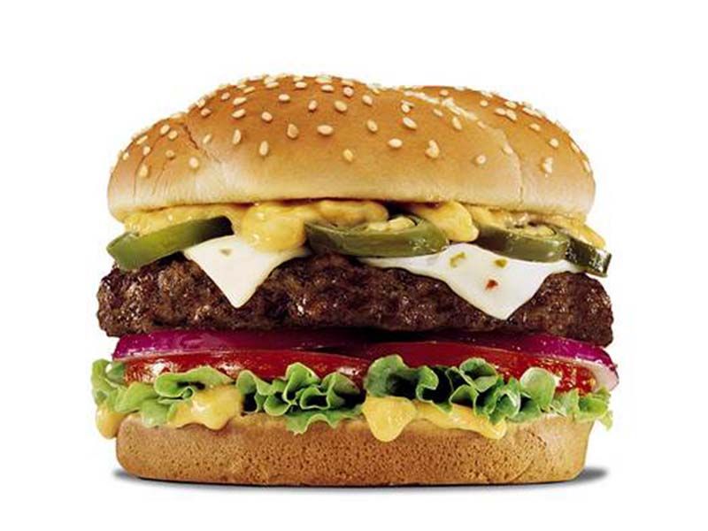 Beef Burger Sandwich