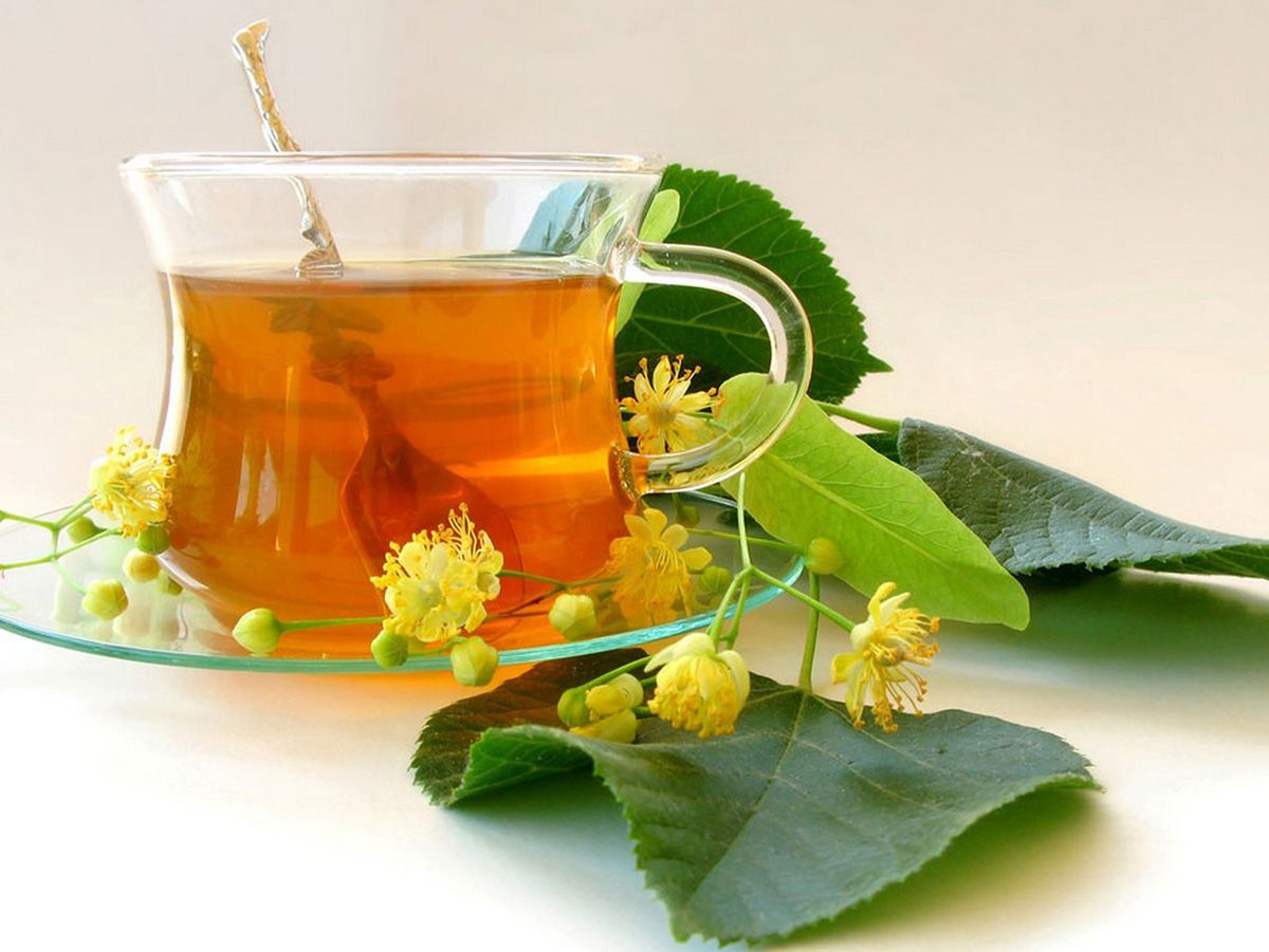 Tilia