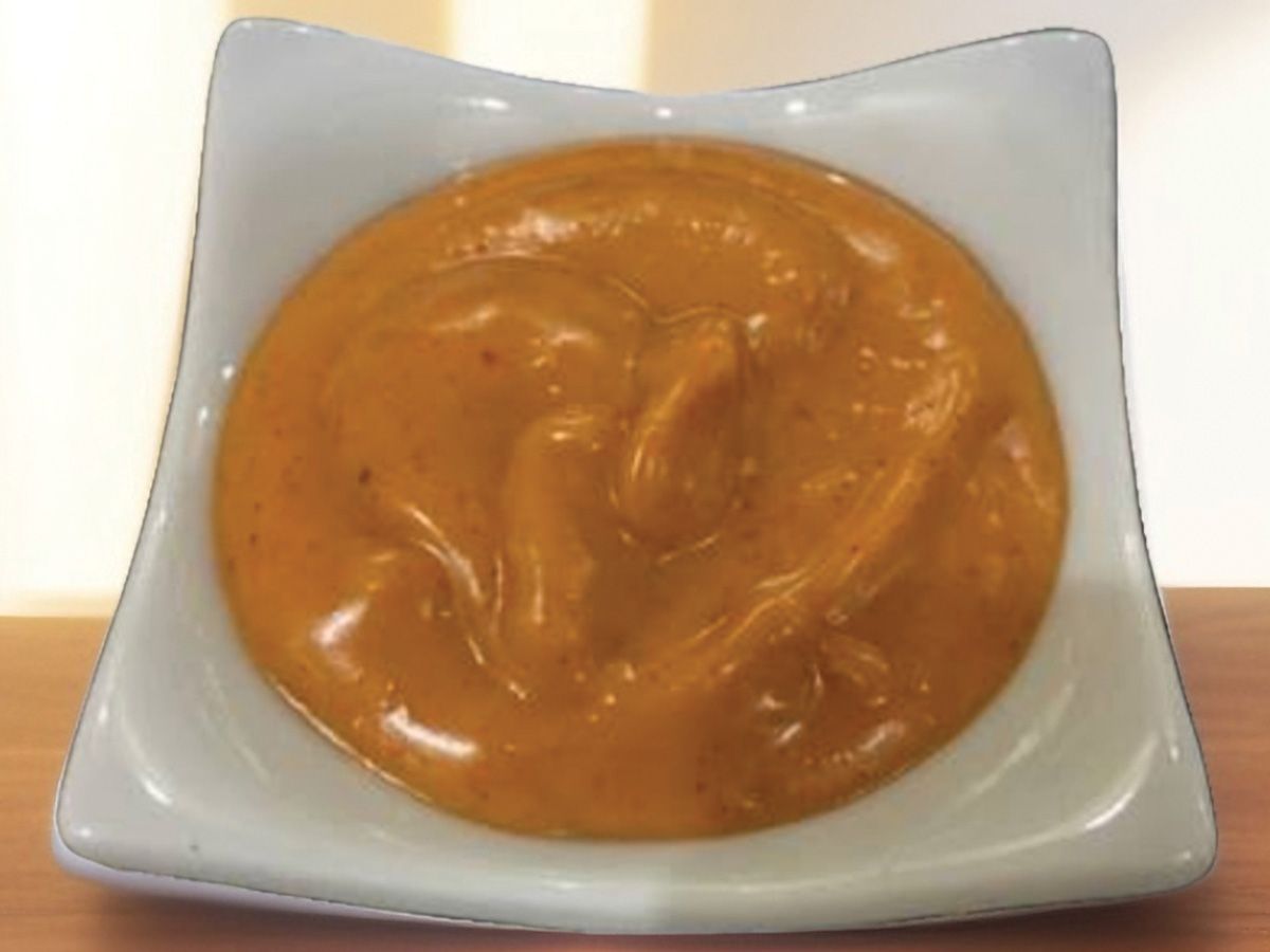 Spicy Garlic dip Box