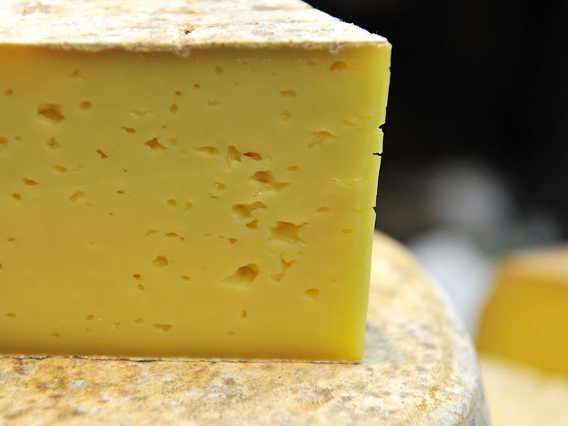 Plain Roumi Cheese Sandwich