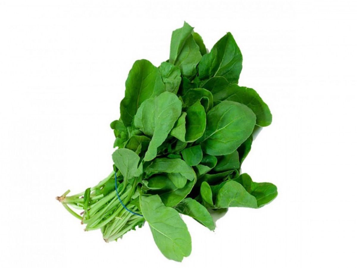 Arugula