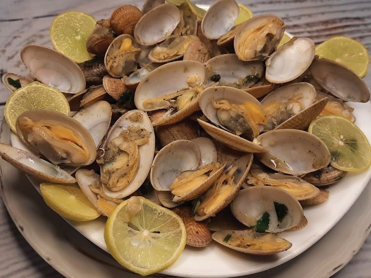 Clams