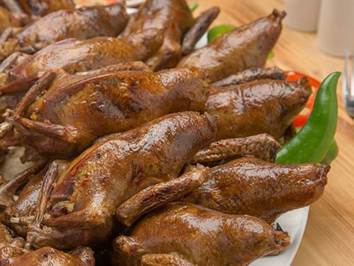 Stuffed Pigeon