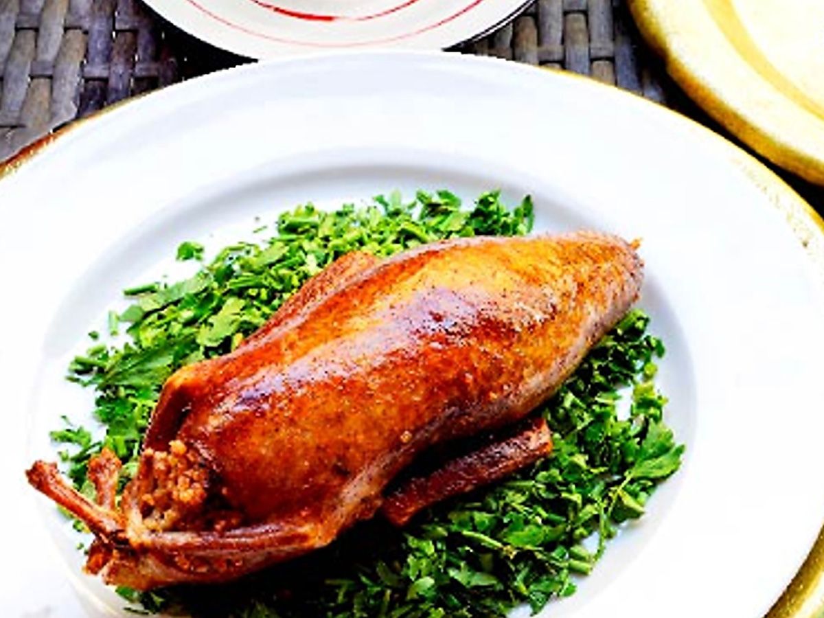 Single Stuffed Pigeon