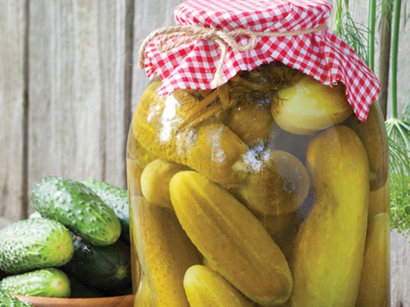 Pickled Cucumber