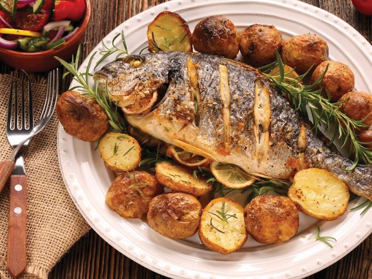 Gilthead Bream Fish