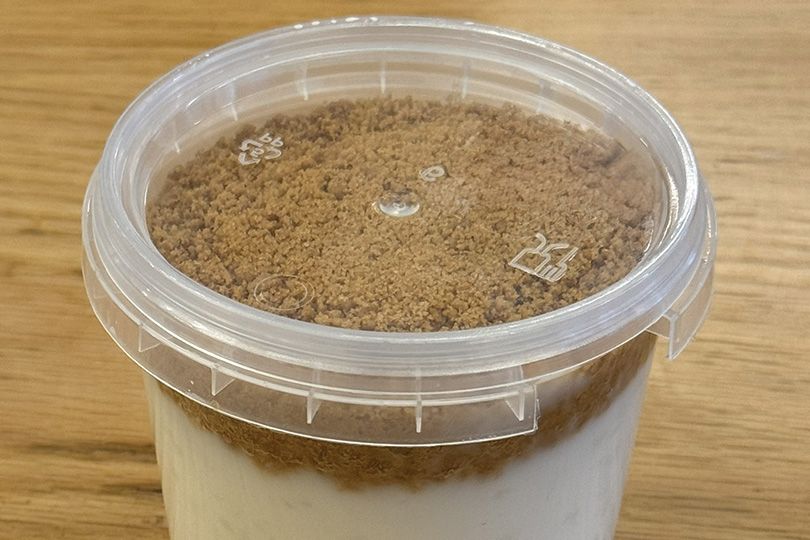 Rice Pudding Lotus