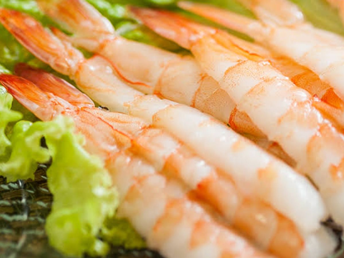Shrimp Sashimi