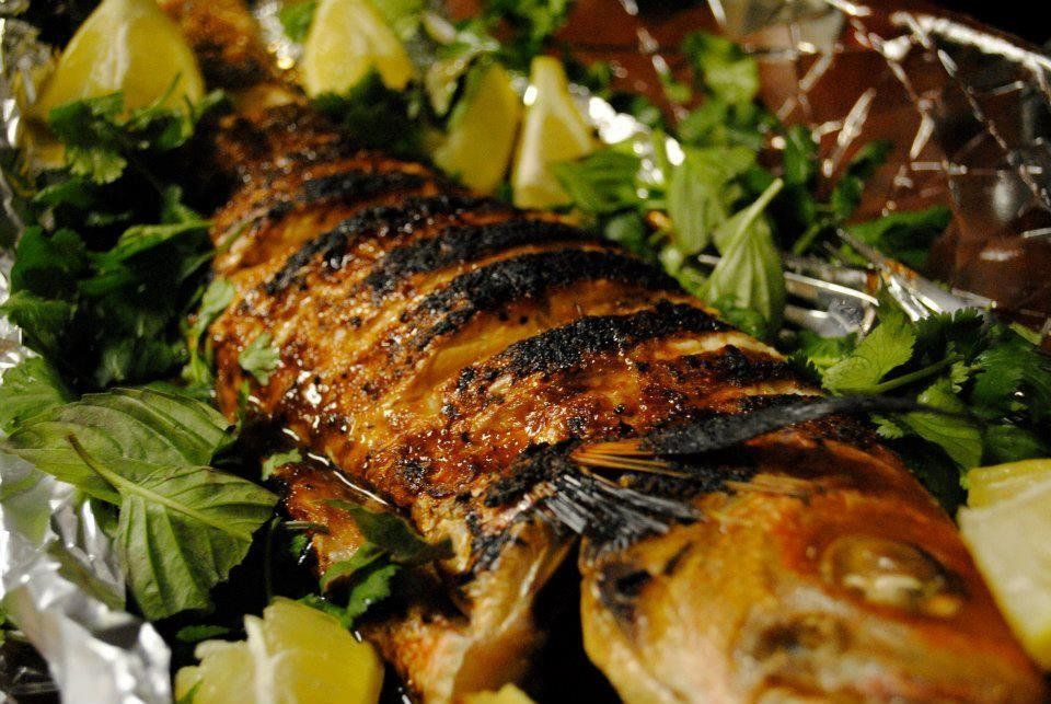 Grey Mullet Fish