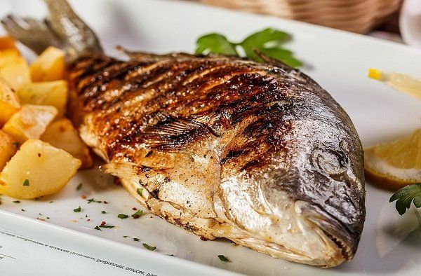 Sea Bass Fish