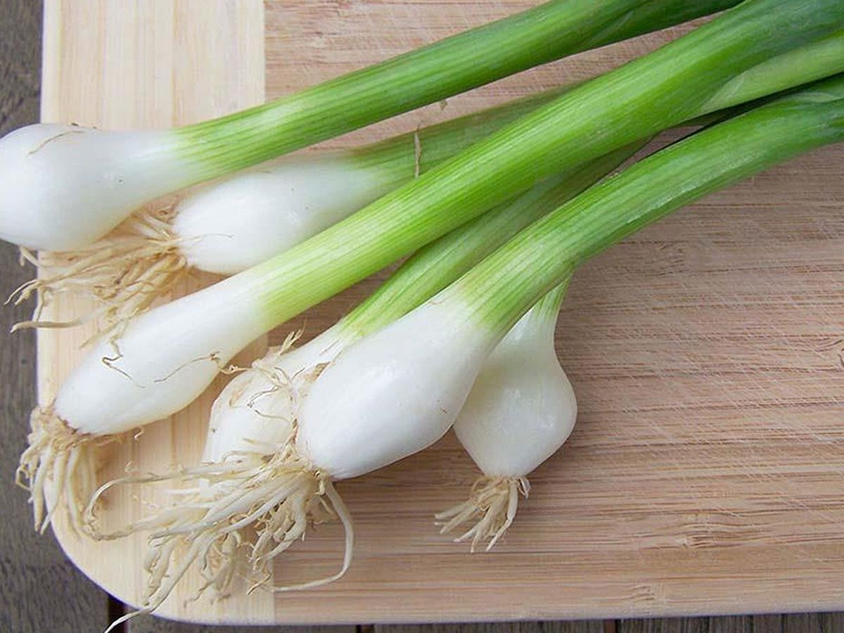 Onion Plate