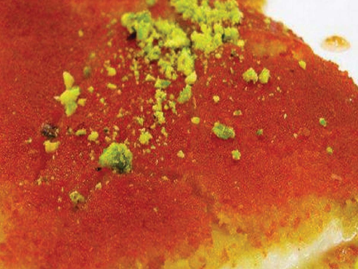Soft Nabulsiya with Cream Dish