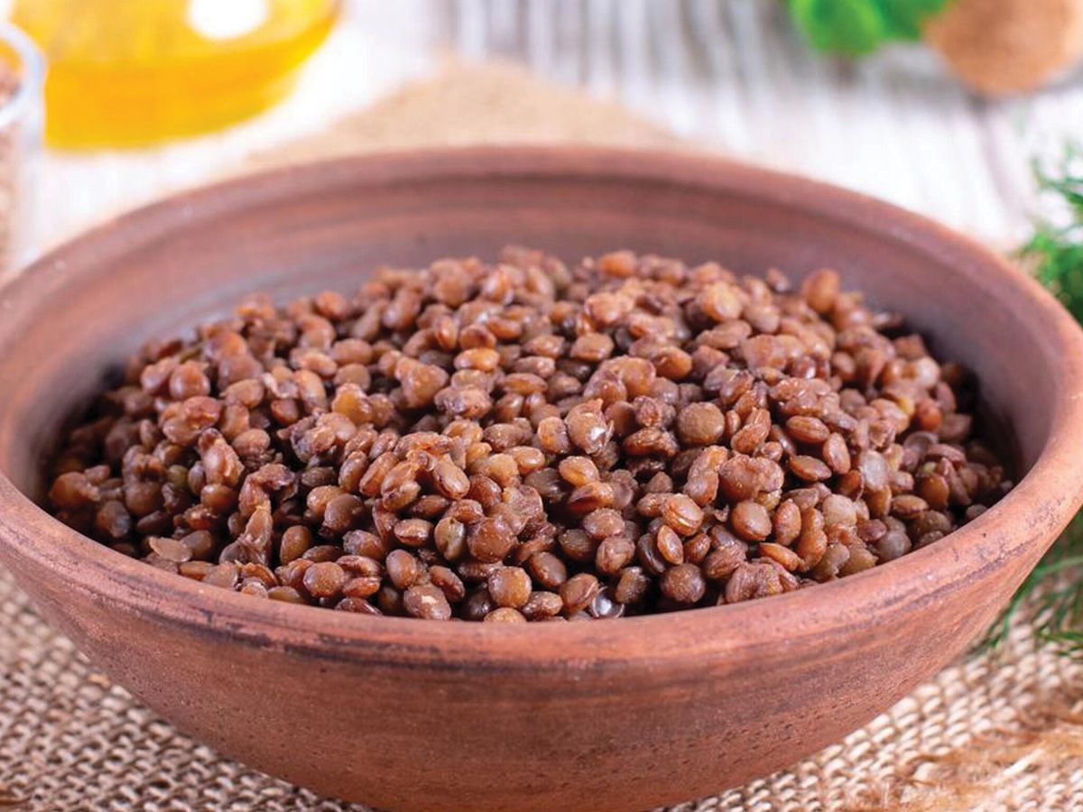 lentil