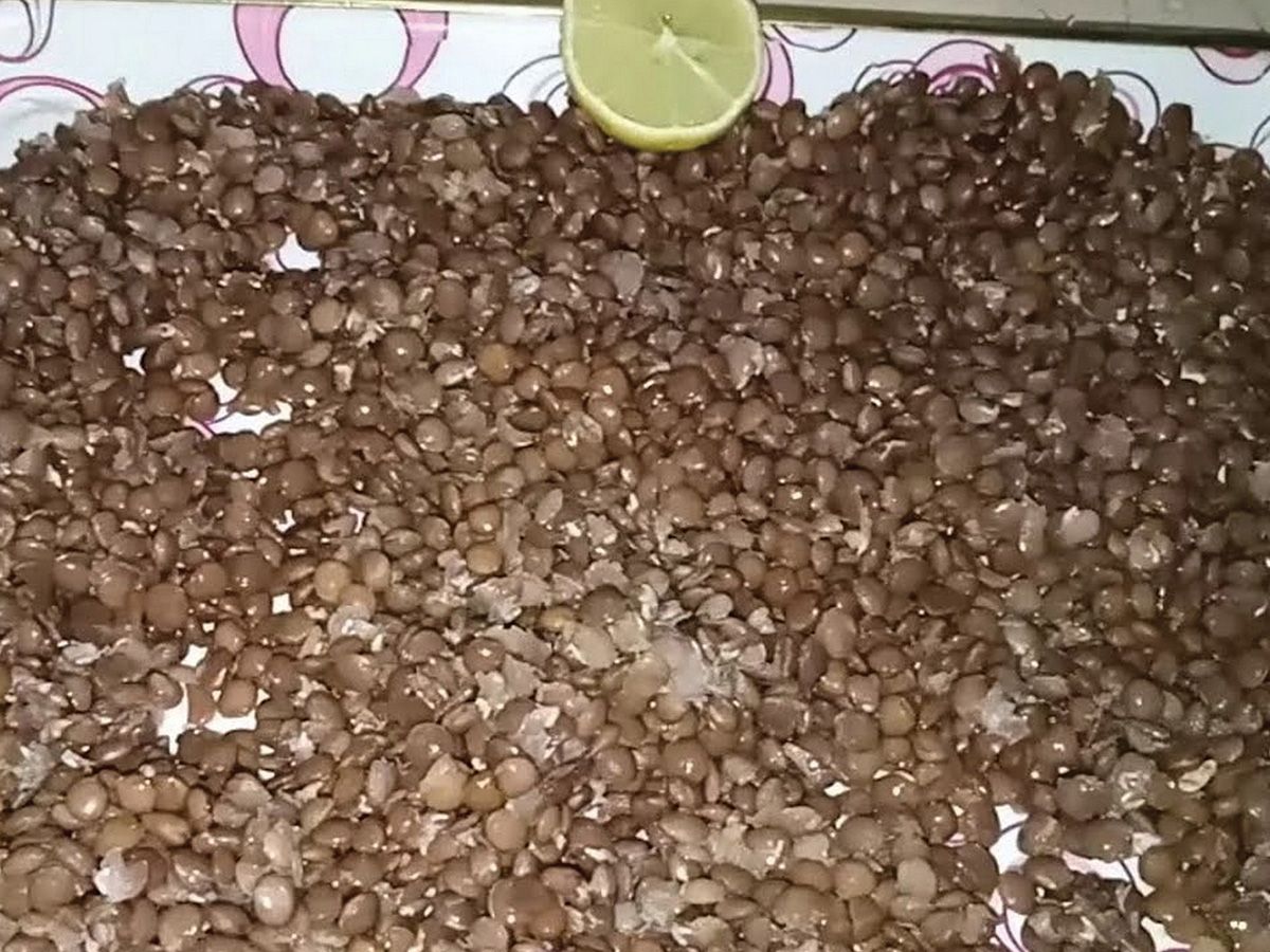 Dal