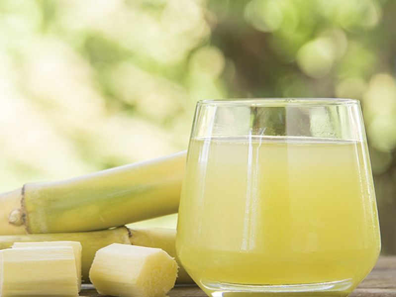 Sugarcane