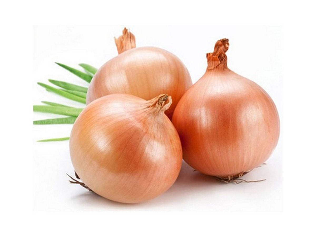 onion slices box