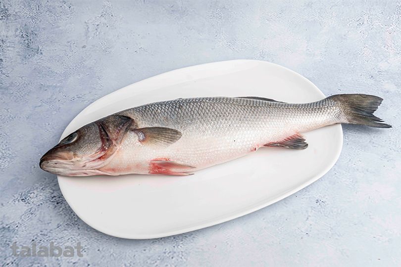 Sea Bass Fish