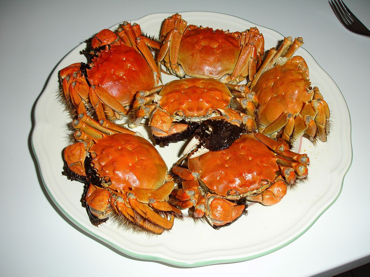 Crabs