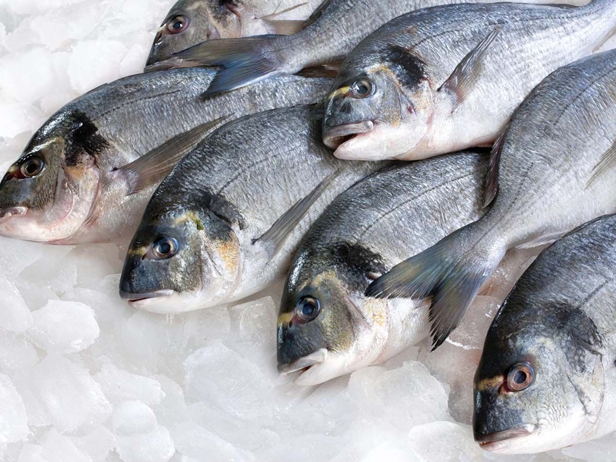 Baladi Sardine Kilo