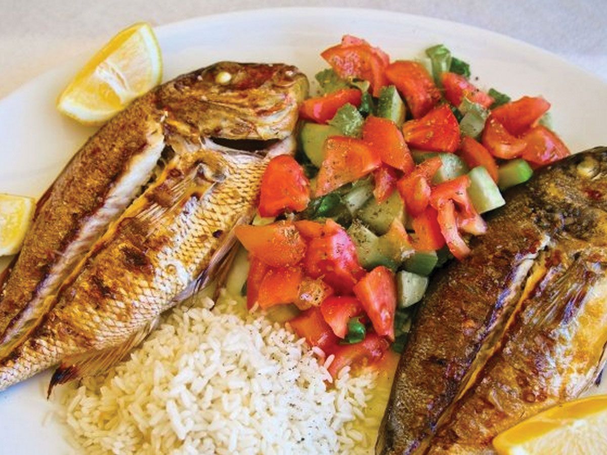 Tilapia Meal