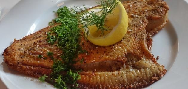 Sole Fish