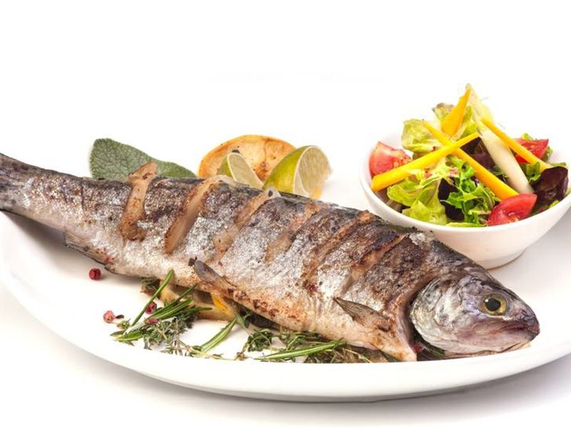 Grey Mullet Fish Meal