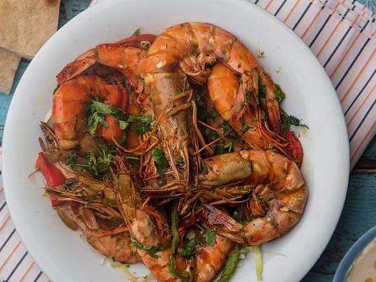 Shrimp meal