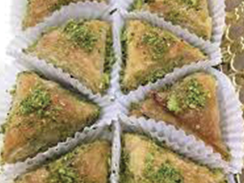 وربات سادة - قطعة