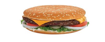 burger عalam photo 1