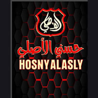 HOSNY ALASLY logo