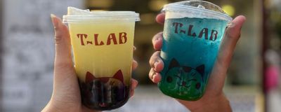 T-lab photo 1
