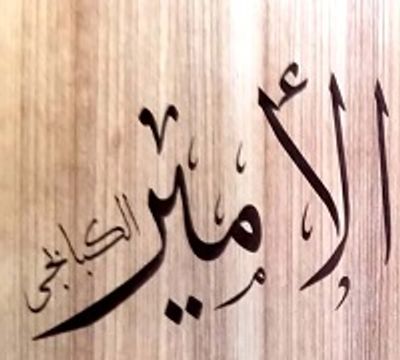 Elamir Elkababgy logo