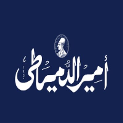 Amir El Domiaty logo