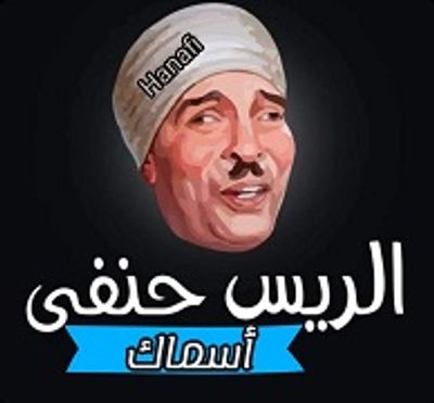 ElRayes Hanafy logo