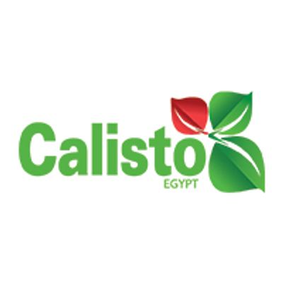 Calisto logo