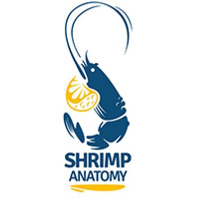Shrimp Anatomy logo